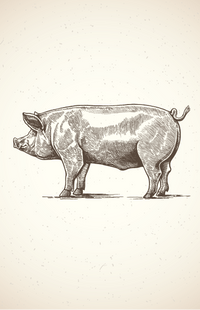 Thumbnail for Pork Deposit - June 5th - Pork Half and Whole